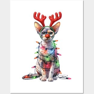 Christmas Red Nose Cornish Rex Cat Posters and Art
